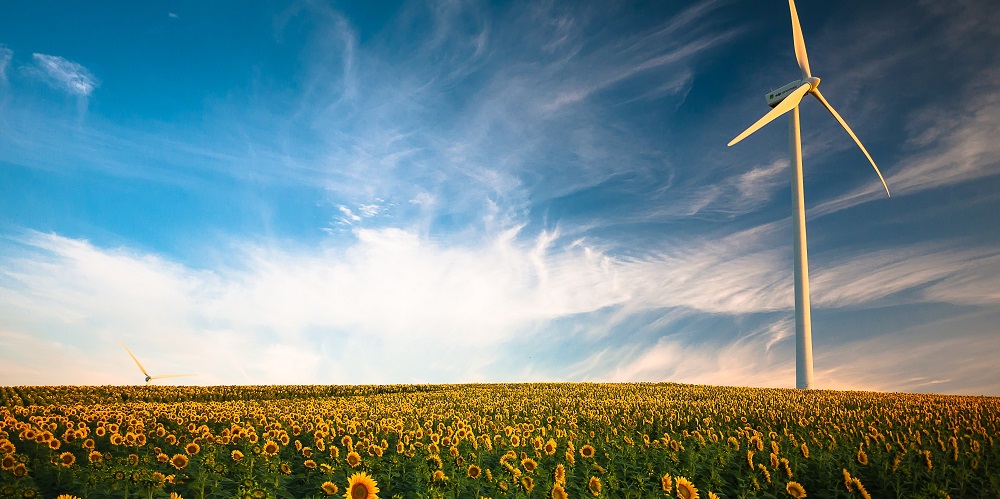 Wind turbine in a field of sunflowers with a clear, blue sky in the background